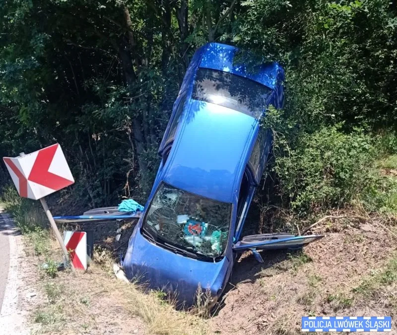 Niebezpieczne zdarzenie drogowe w powiecie lwóweckim. Policja apeluje o rozwagę na drodze