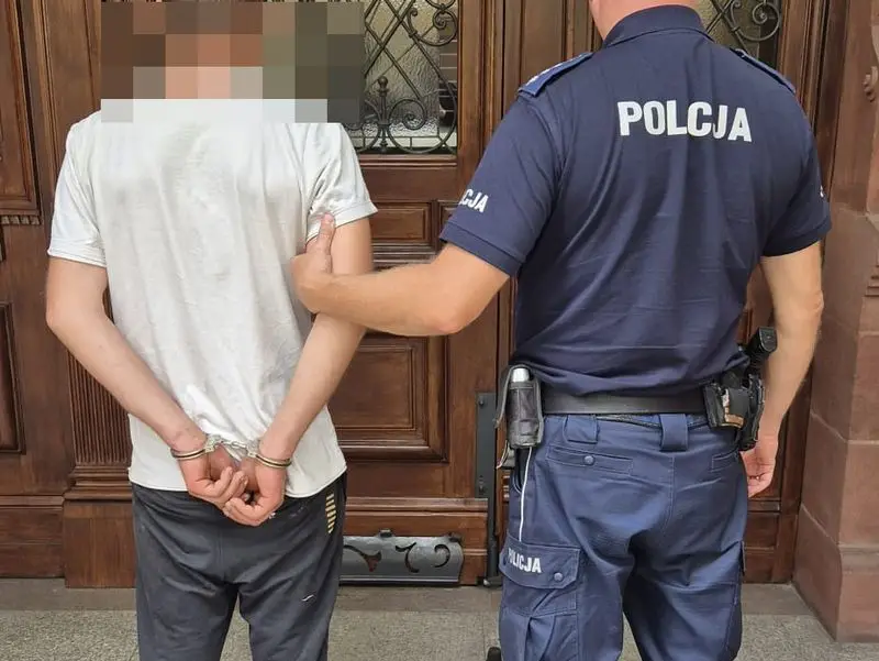 Mężczyzna zatrzymany za włamania i kradzieże trafił do aresztu