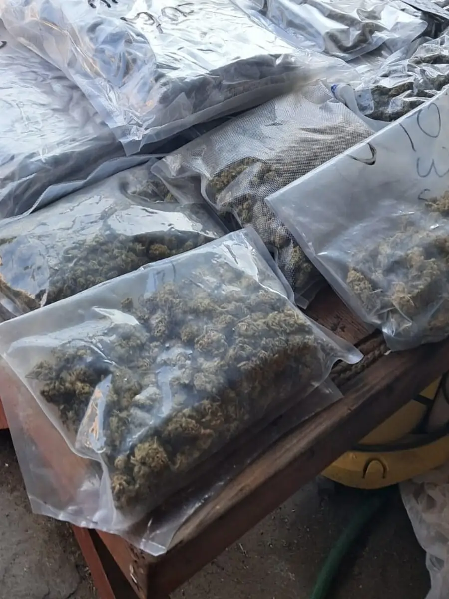 Wspólna akcja policji z Kłodzka i Wrocławia prowadzi do zatrzymania 36-latka z narkotykami