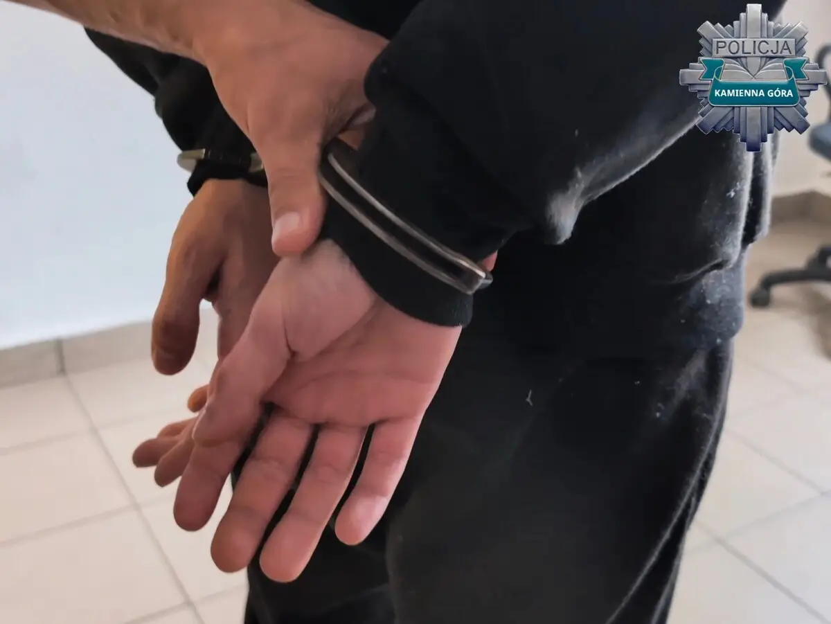 Zatrzymanie 30-latka w Kamiennej Górze w sprawie usiłowania zabójstwa