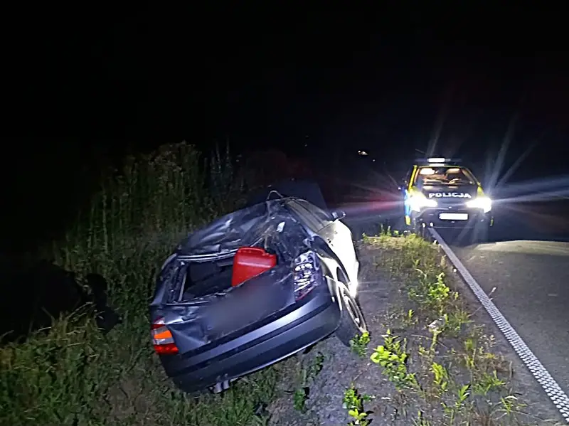 Pijany kierowca bez uprawnień dachował w Kamieńcu Ząbkowickim