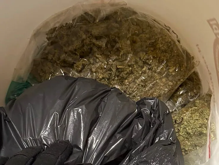 Jeleniogórscy policjanci zabezpieczyli 1,6 kg marihuany