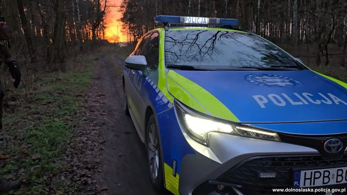 Podstawy bezpieczeństwa podczas grzybobrania