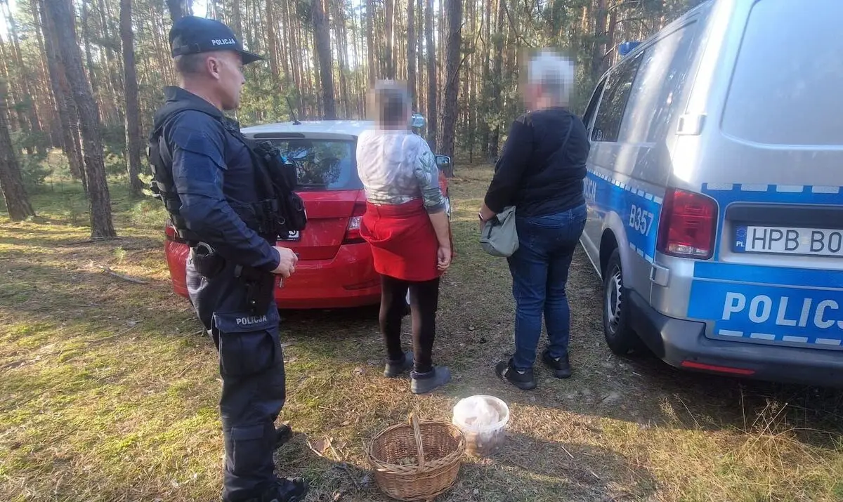 71-letnia kobieta odnaleziona przez policję w lesie