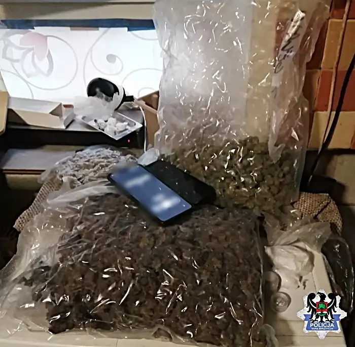 Narkotyki o wadze ponad 1,7 kg zabezpieczone przez wałbrzyską policję; dwóch zatrzymanych