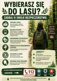 Zasady bezpieczeństwa podczas wycieczek do lasu