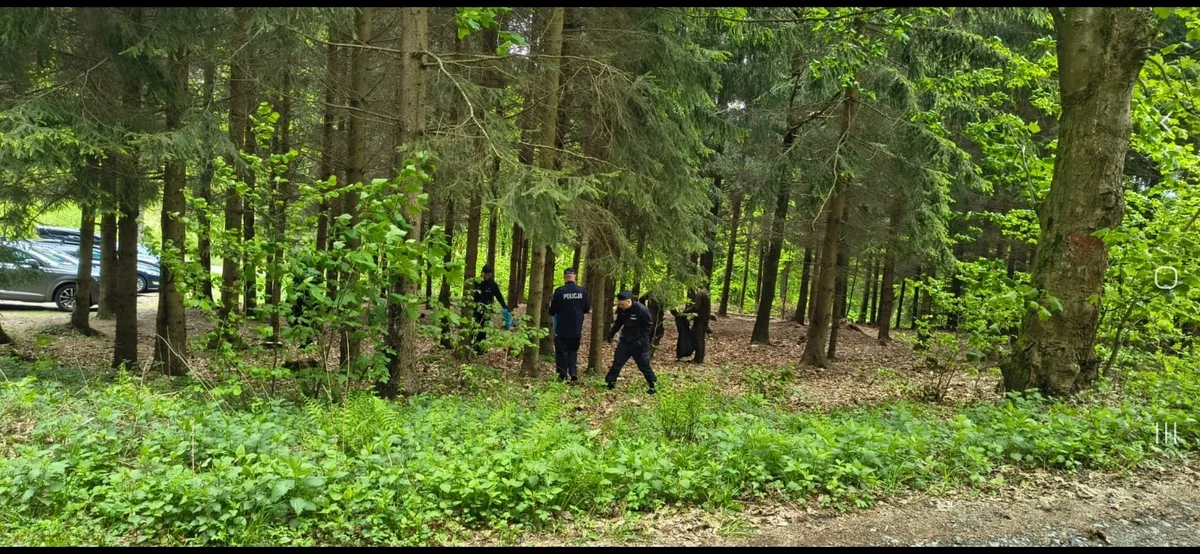 Wspólne patrole policji i Straży Leśnej dla bezpieczeństwa i ochrony środowiska