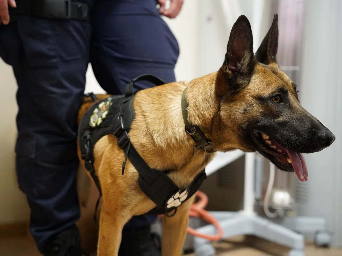 Finał Dolnośląski Eliminacji do XXIII Kynologicznych Mistrzostw Policji