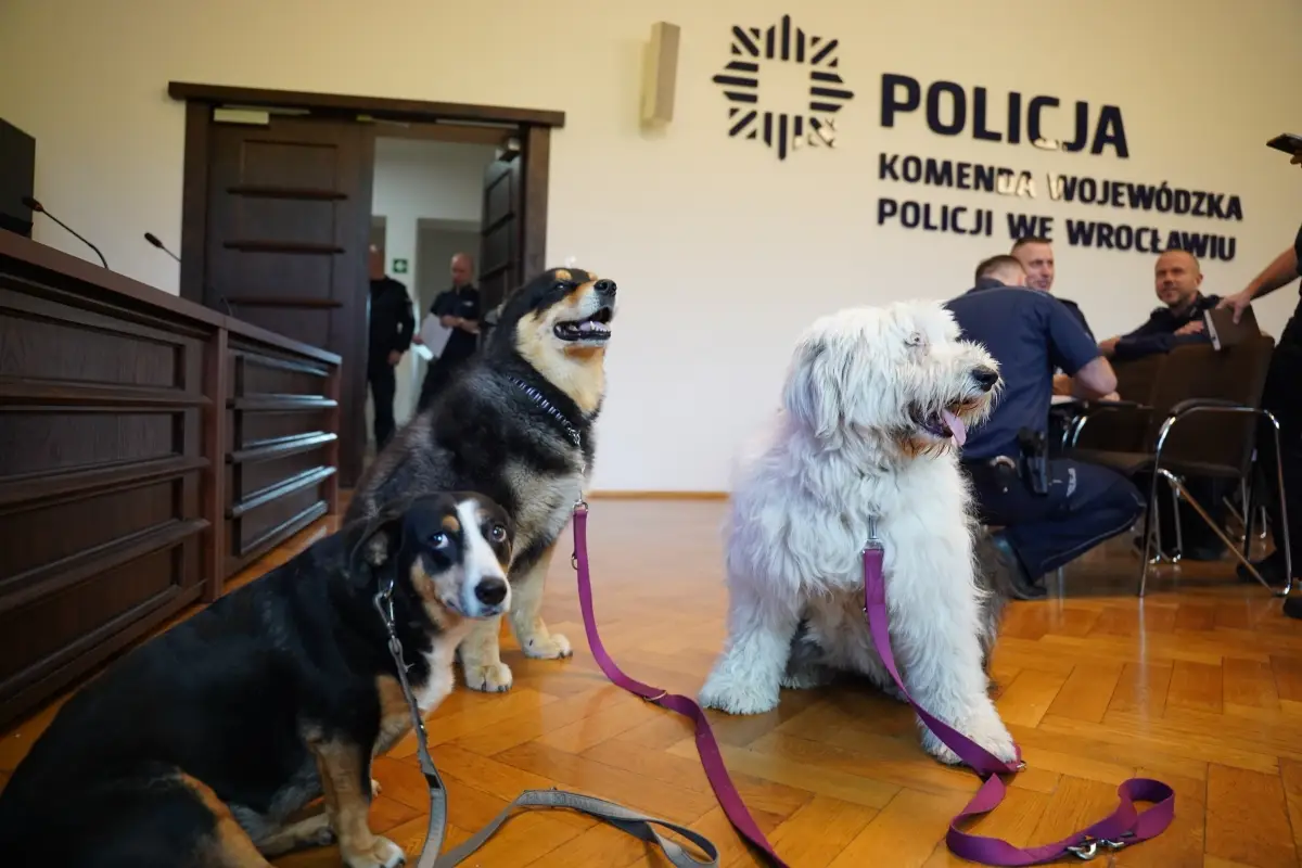 Seminarium o prawnych aspektach ochrony zwierząt w Wrocławiu