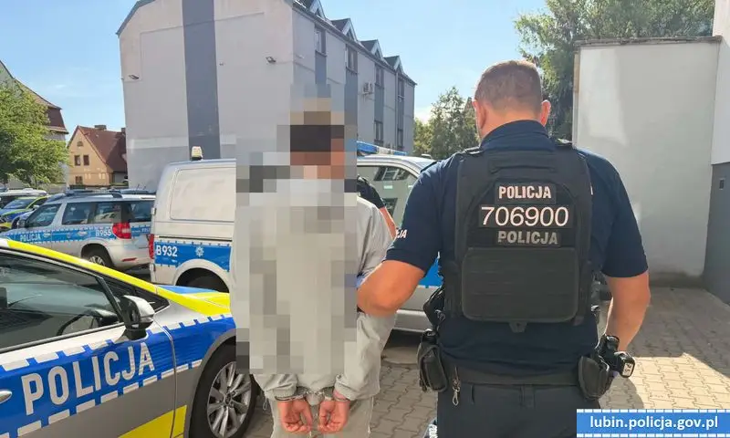 Zatrzymano 24-letniego złodzieja, któremu postawiono 12 zarzutów