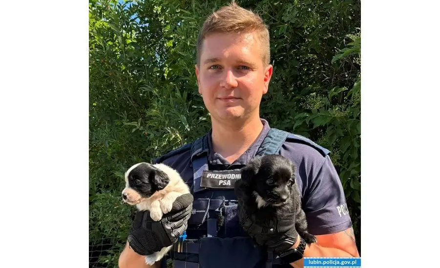Policja interweniuje w sprawie zaniedbanych psów w Lubinie