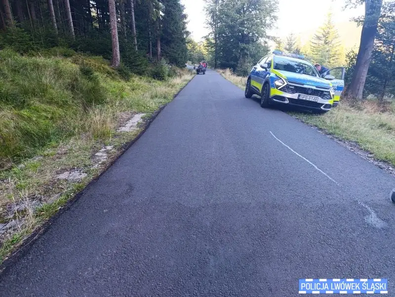 Wypadek rowerzysty w Świeradowie-Zdroju. Policja apeluje o noszenie kasków