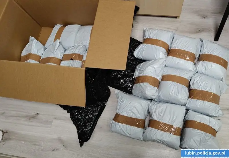 300 kg tytoniu zatrzymane, dwie osoby w areszcie - efekty działań policji i Urzędu Celno-Skarbowego